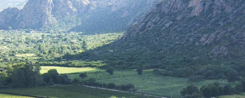 Aerial View, Vinas de Cafayate Wine Resort