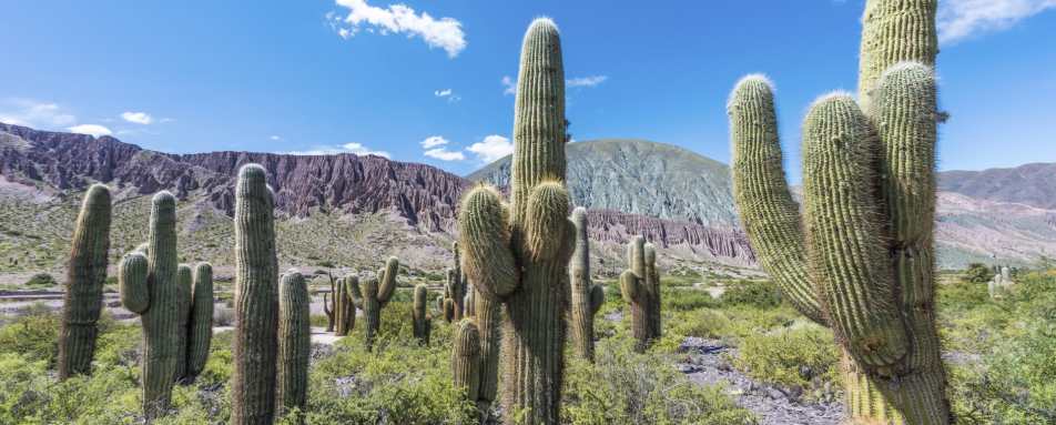 Purmamarca - From Argentina to Chile