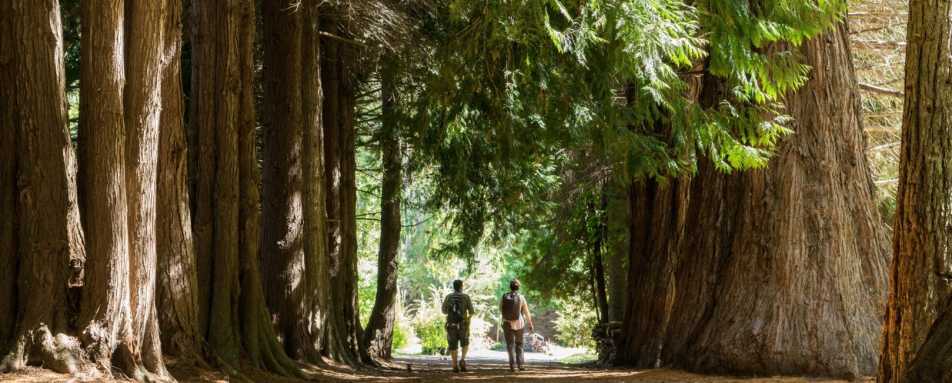 Bariloche - Lake District  