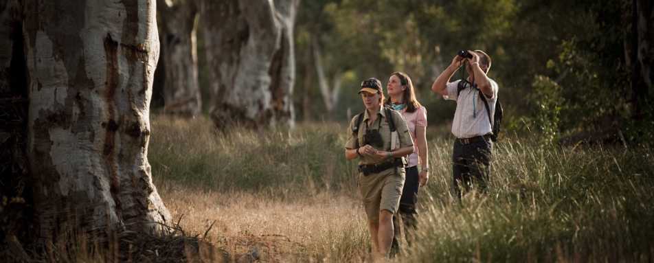 Guided walk - Arkaba