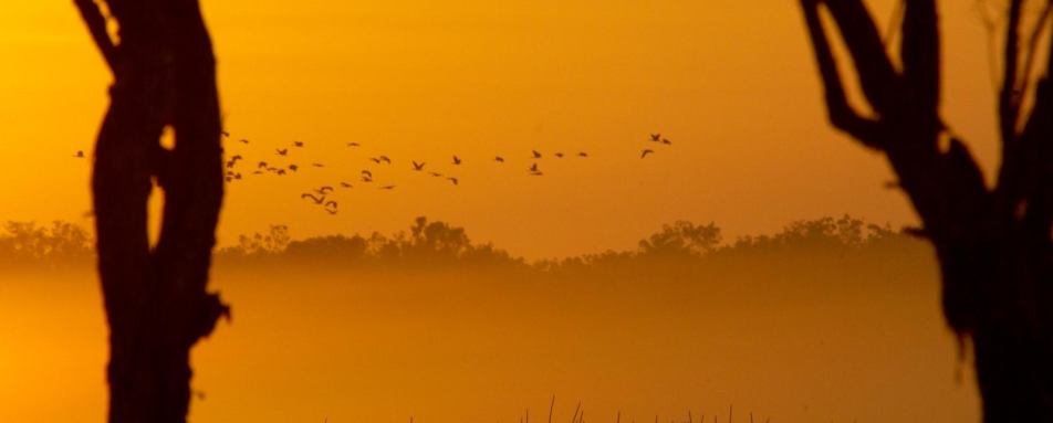 Sunset - Bamurru Plains