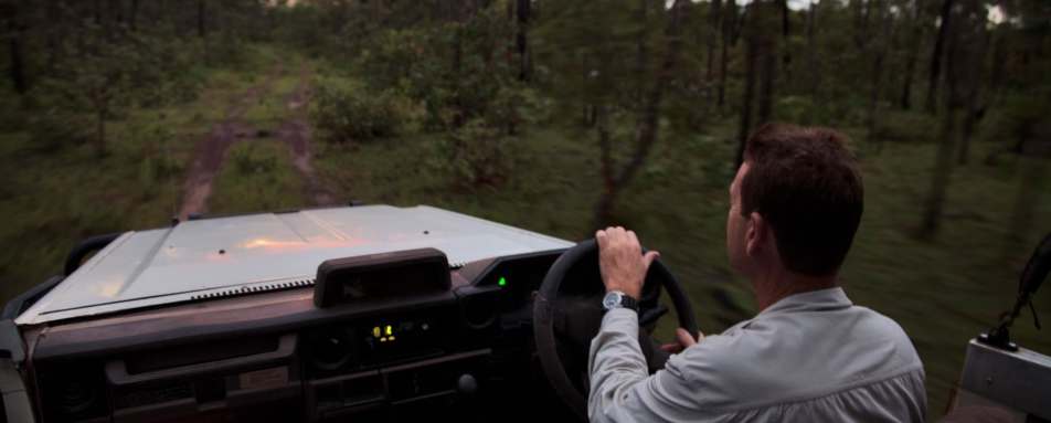 Guided tours - Bamurru Plains