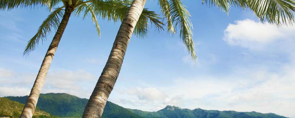 Beach -  Hayman Island