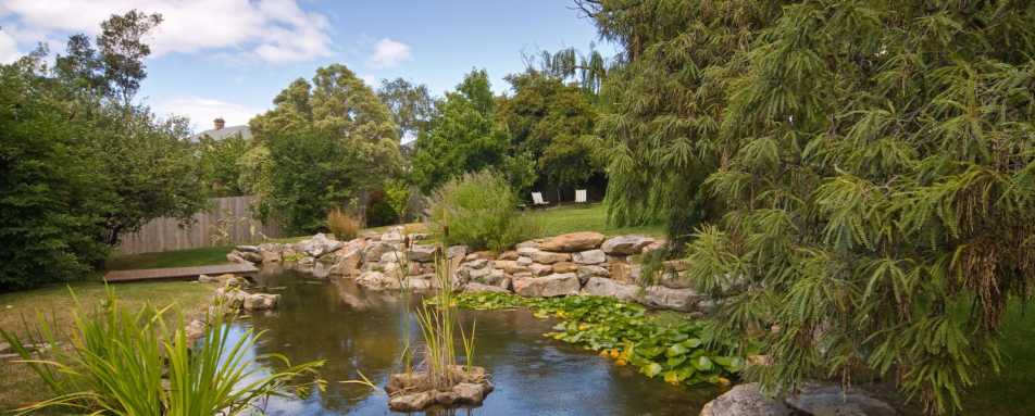 Pond - Islington