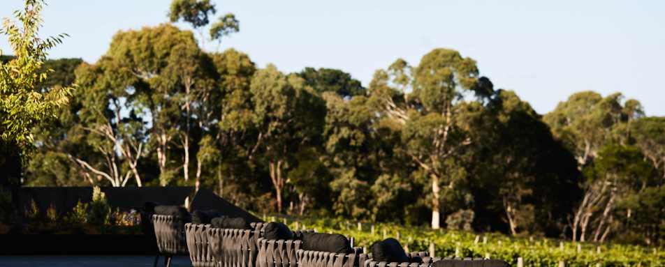 Terrace - Jackalope Hotel