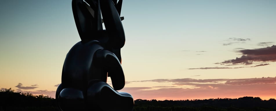 Emily Floyd Artwork - Jackalope Hotel