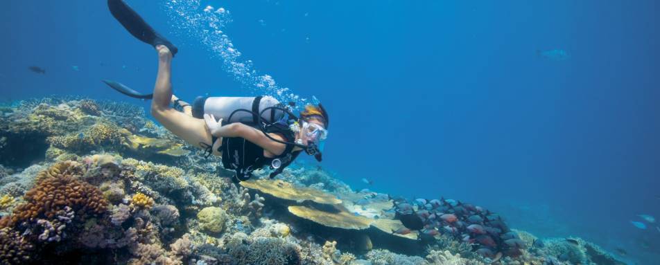 Diving - Lizard Island 