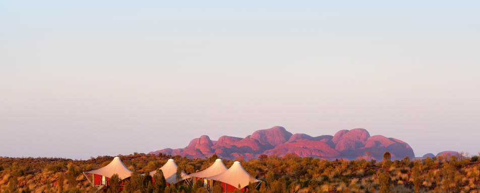 Wild Views - Longitude 131