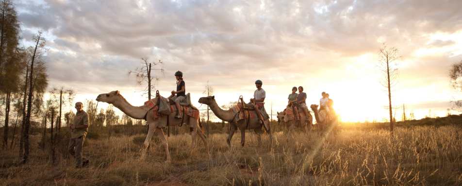 Unique Experiences - Longitude 131