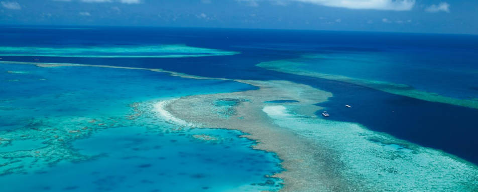 Great Barrier Reef - qualia
