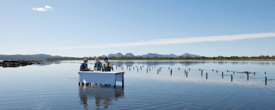 Marine Oyster Farm - Saffire