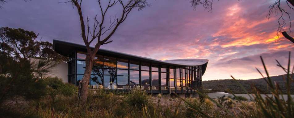 Saffire Sunrise - Saffire