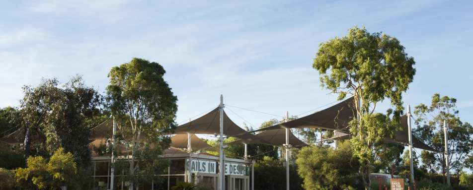 Exterior - Sails in the Desert 