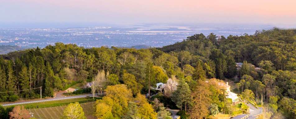 Aerial View - Sequoia Lodge 