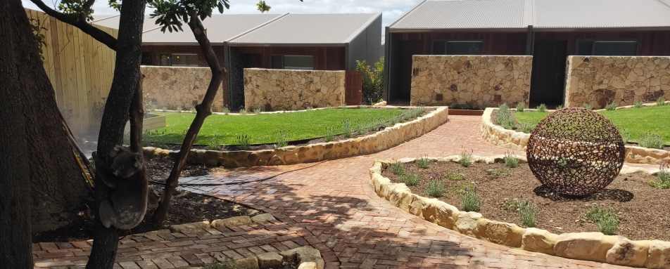 Koala - Sequoia Lodge 