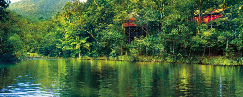 River View - Silky Oaks Lodge