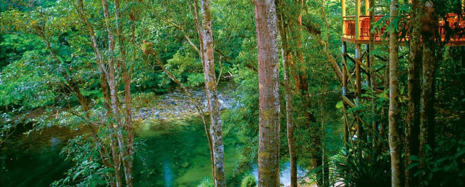 View - Silky Oaks Lodge