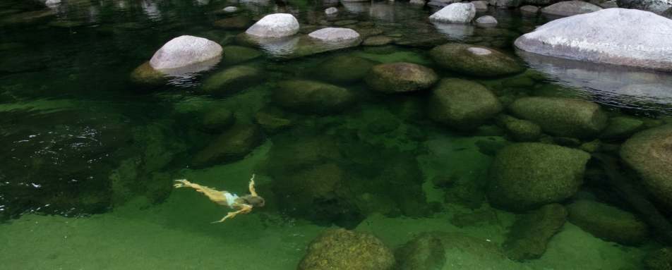 Swimming in the billabong 