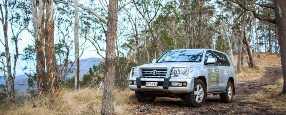 4WD - Spicers Peak Lodge 
