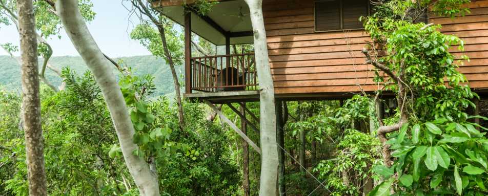 Eucalypt bungalow - Thala Beach Lodge