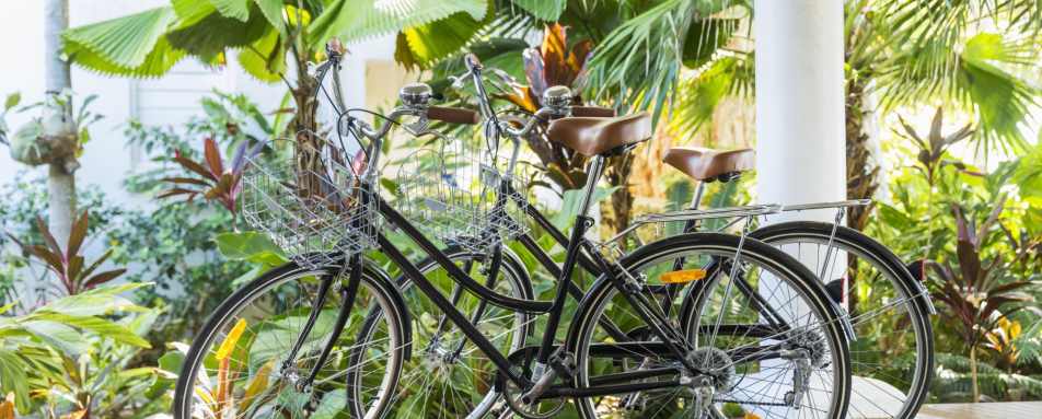 Bicycles - The Reef House 