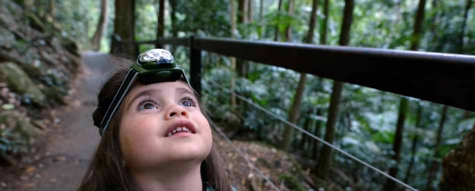 Explore the Blue Mountains National Park 