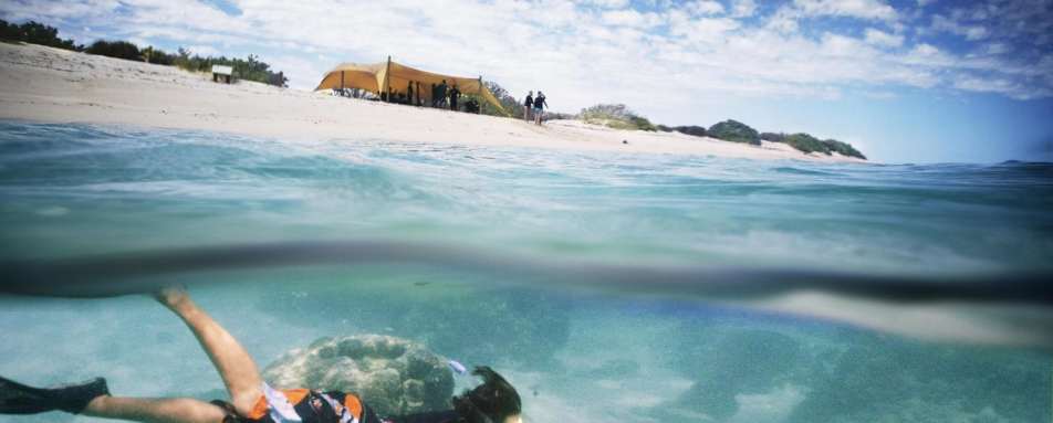 Snorkle at Sal Salis - 