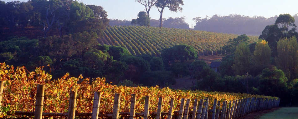 Margaret River Winery - 