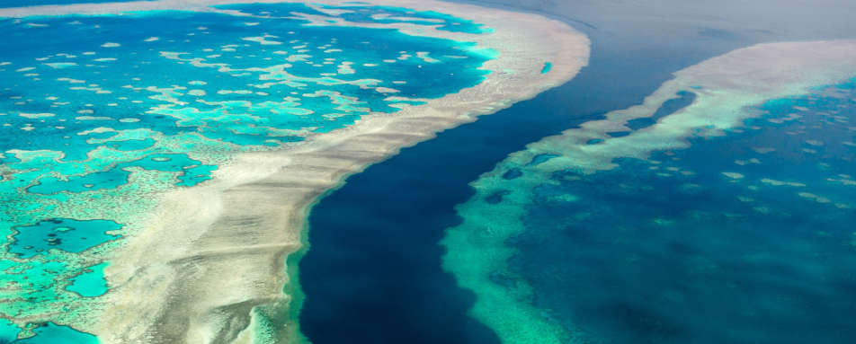 The Great Barrier Reef - 