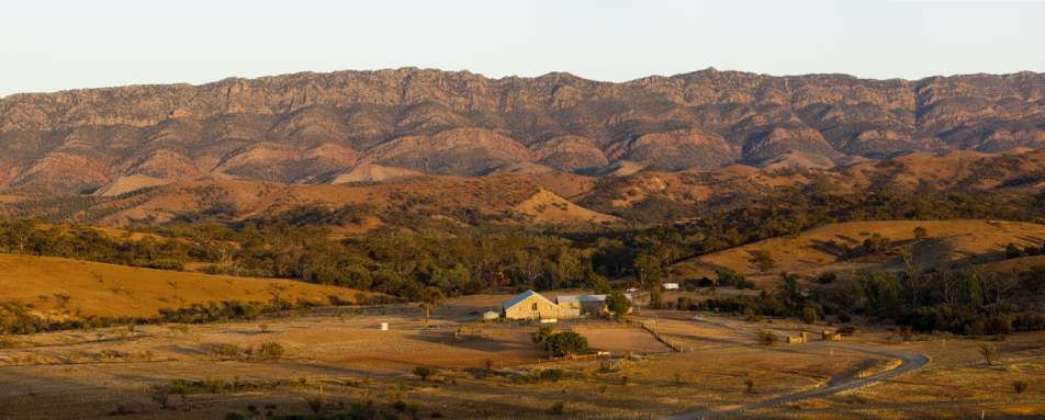 Flinders Ranges  - 