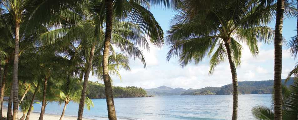 Hamilton Island Beach  - 