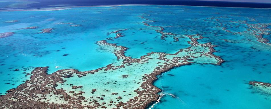 Great Barrier Reef 