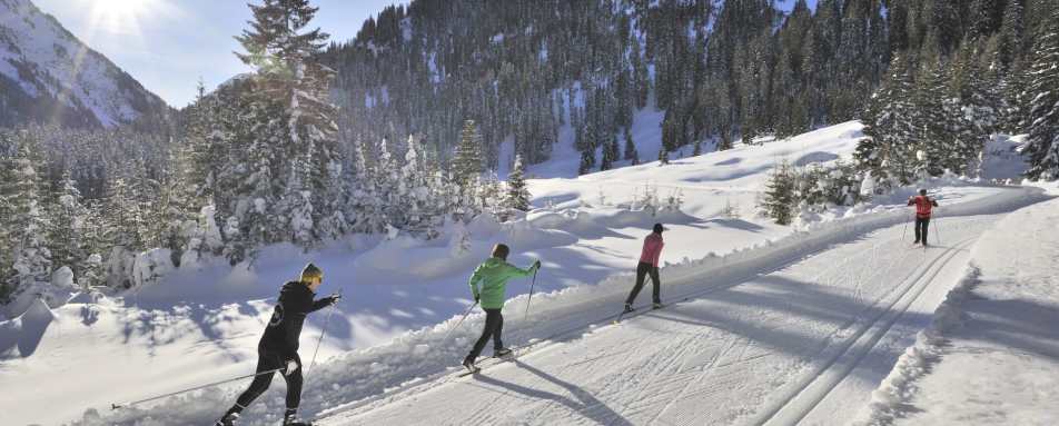 Cross country skiing   