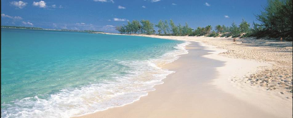 Beach - The Ocean Club