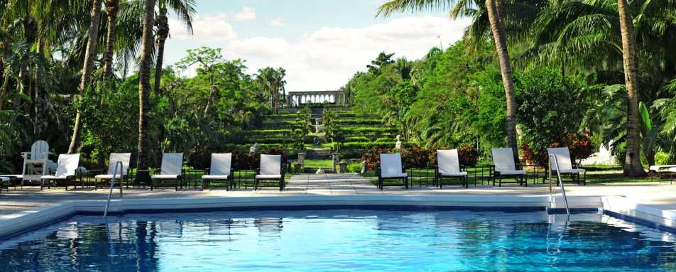 Pool - The Ocean Club