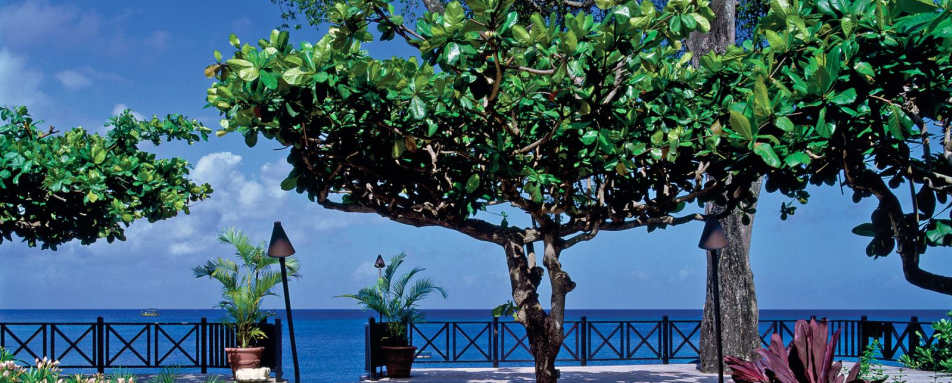 View - The Sandpiper