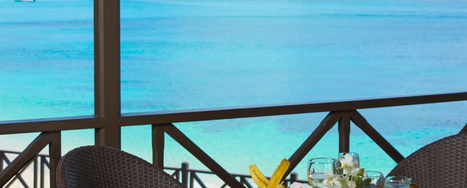 Lunchtime View - The Sandpiper