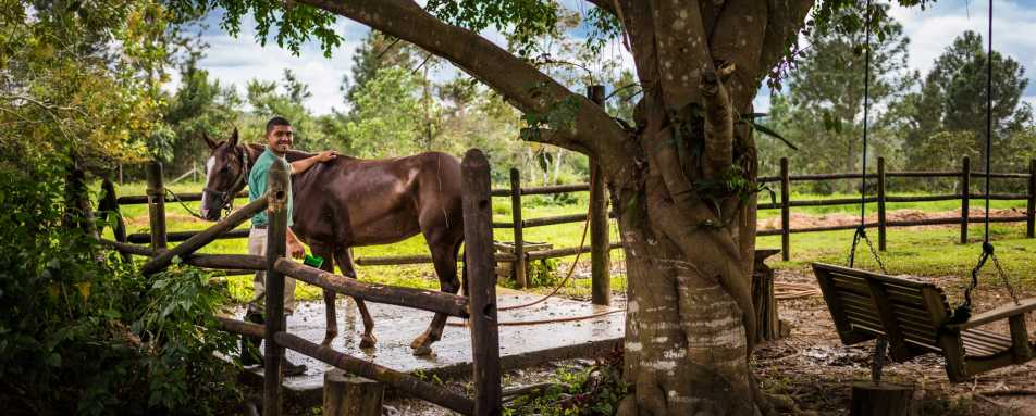Stables - Blancaneaux Lodge