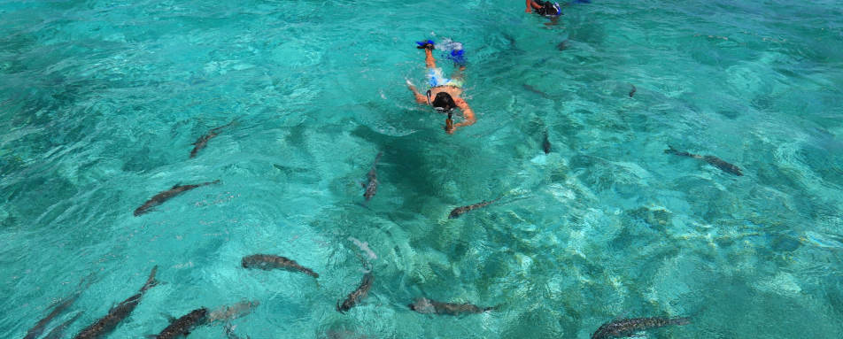 Snorkelling - Cayo Espanto