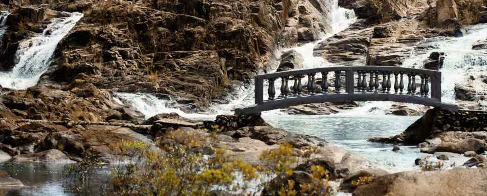 Gardens - Gaia River Lodge