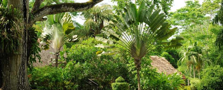 Grounds - The Lodge at Chaa Creek