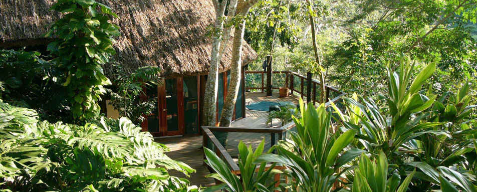 Treetop Cottage exterior - The Lodge at Chaa Creek