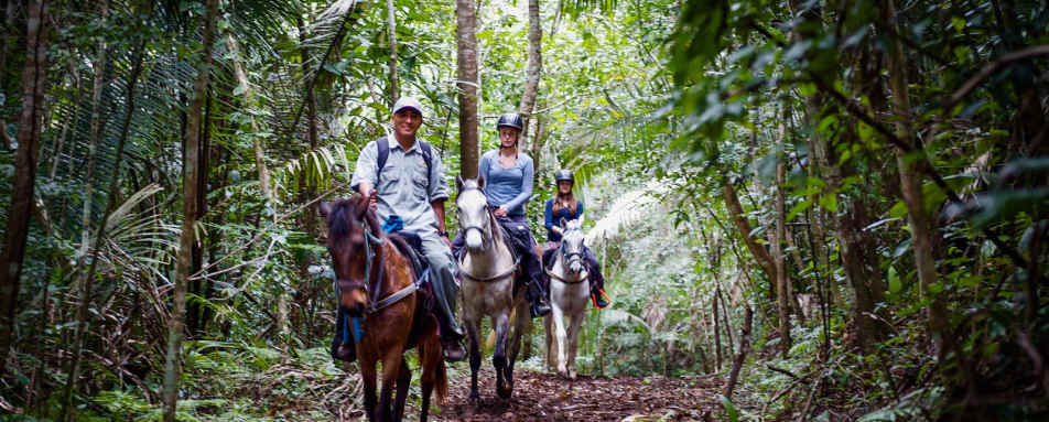 Horseback Riding Cayo District
