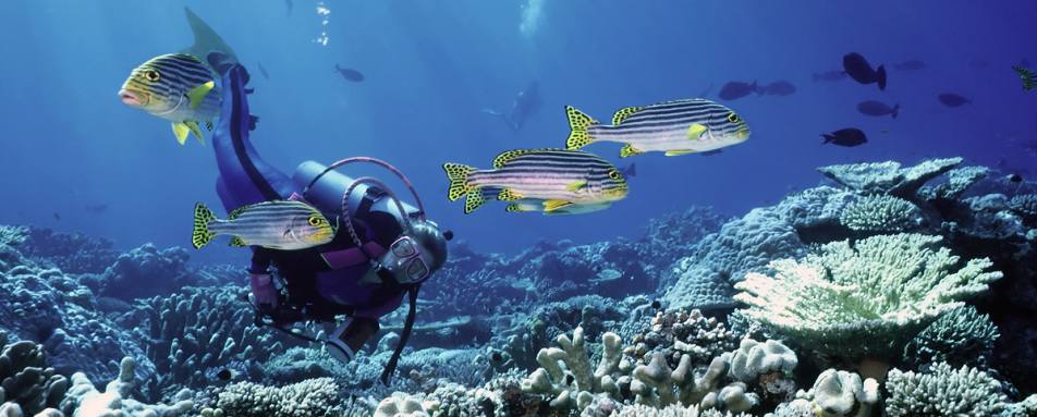 Diving - Dive into Belize