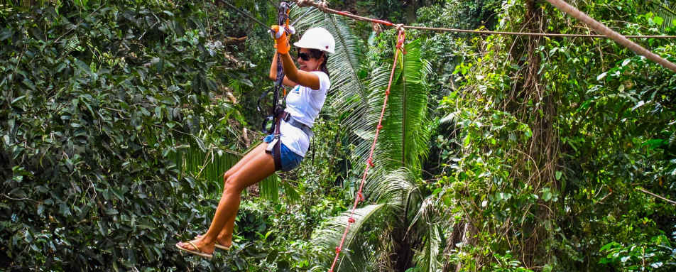 Rainforest adventure 