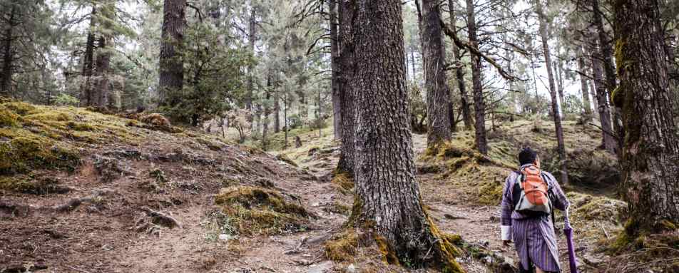 Hiking - Six Senses Paro 