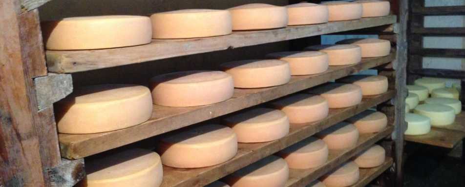 The Red Panda Brewery and Cheese Factory