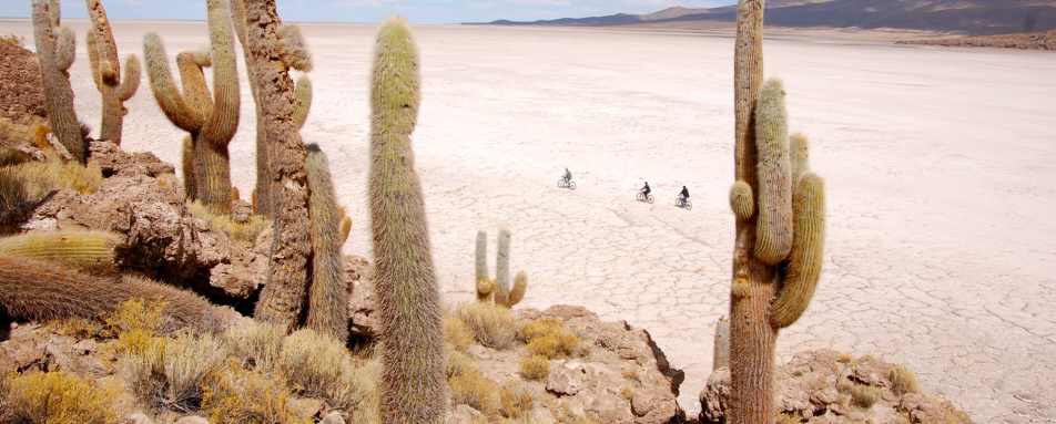 Cacti Islands - Airstream Uyuni