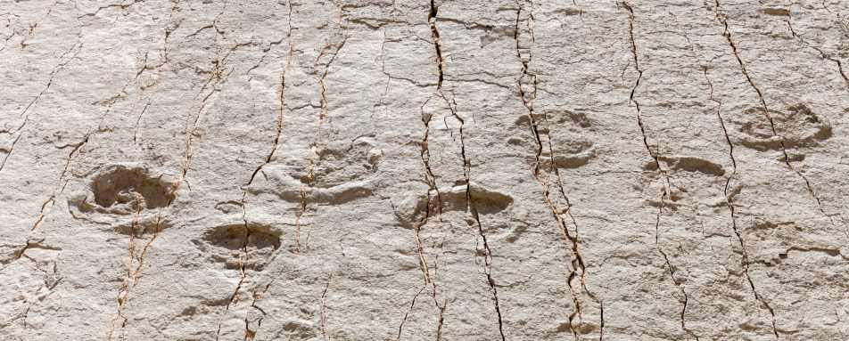 Dinosaur footprints - Bolivia in Depth 
