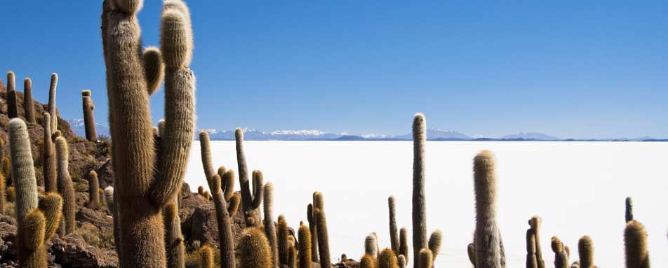 Salar de Uyuni - Bolivia in Depth 
